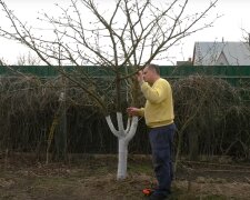 Обрезка дерева, скриншот: Youtube