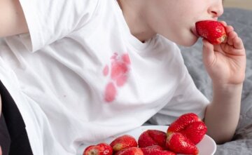 Плями від ягід, limon.postimees